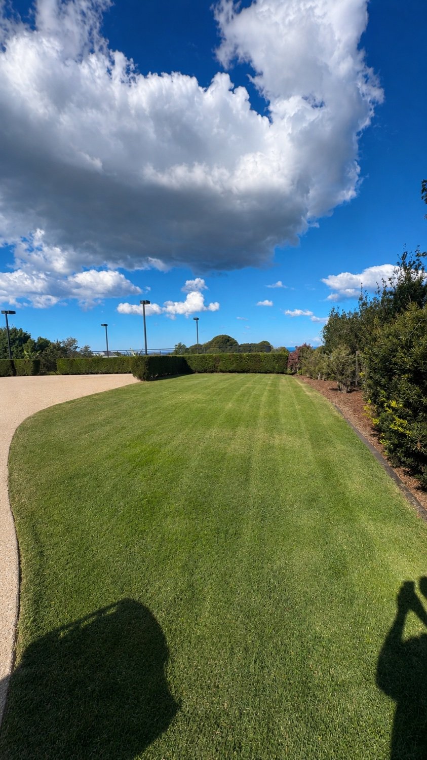 Freshly mown lawn with clean mowing stripes under a big blue sky