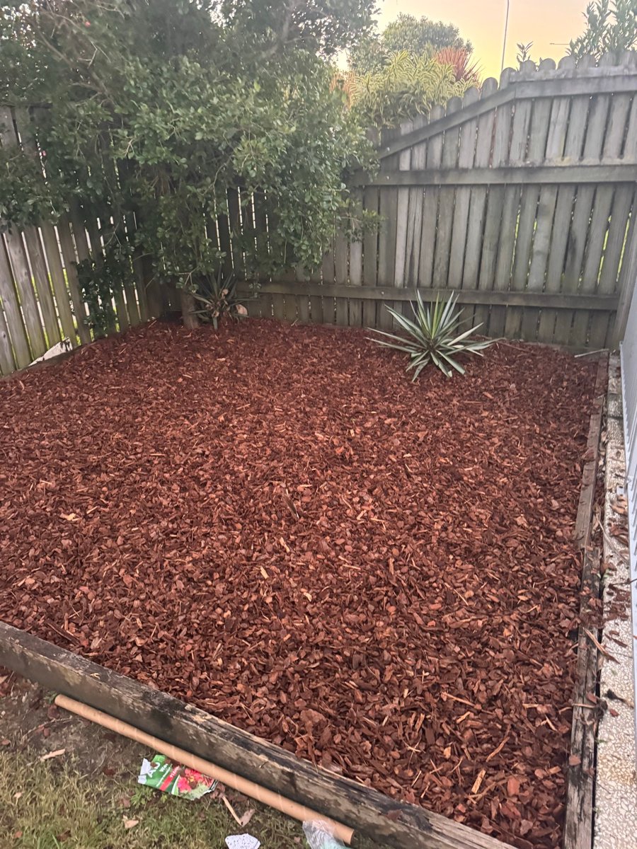 Garden bed cleared and topped with fresh mulch