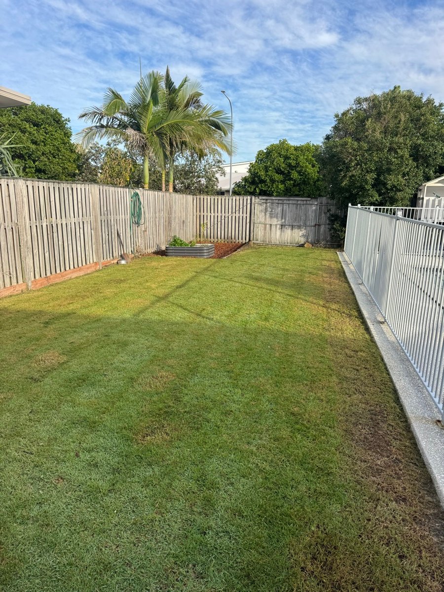 Tidy garden path lined with bromeliads after a clean-up