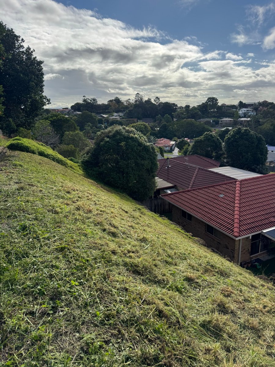 Steep slope freshly mowed with the town beyond