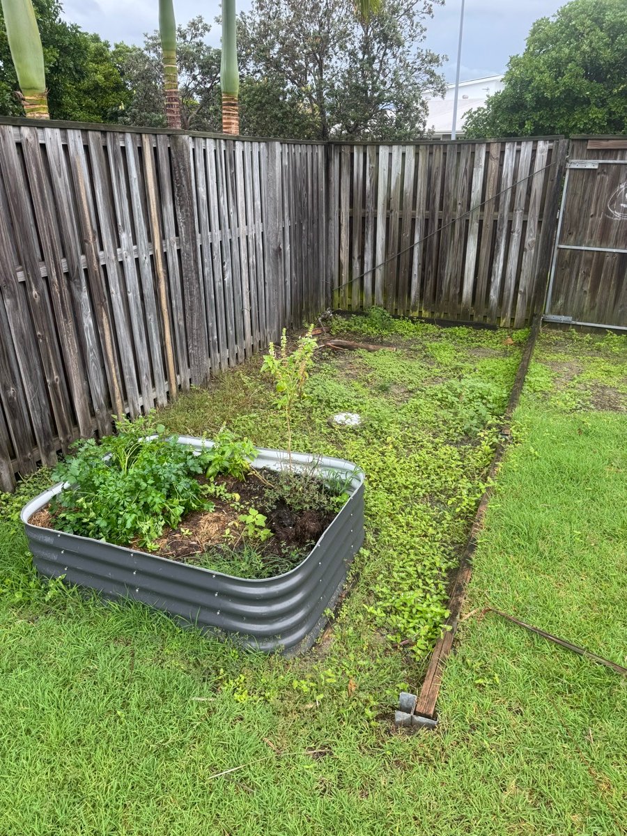 Weedy garden bed around a raised planter box before Real Cut Mowing tidied it up